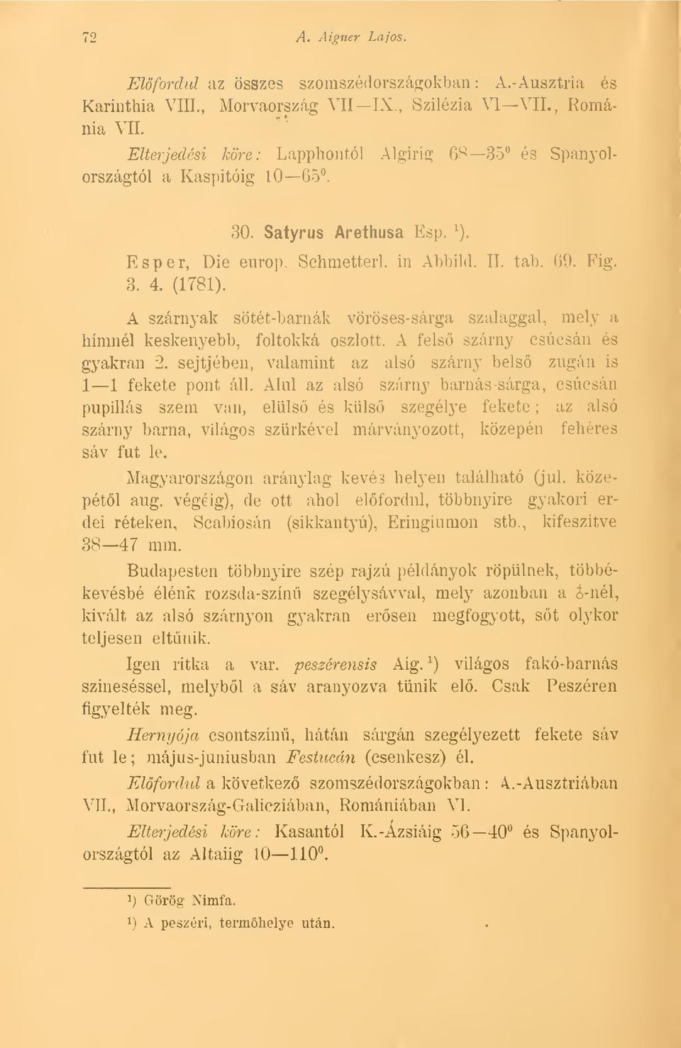 A szárnyak sötét-barnák vöröses-sárga szalaggal, mely a hímnél keskenyebb, foltokká oszlott. A fels szárny csúcsán és gyakran 2. sejtjében, valamint az alsó szárny bels zugán is 1 1 fekete pont áll.