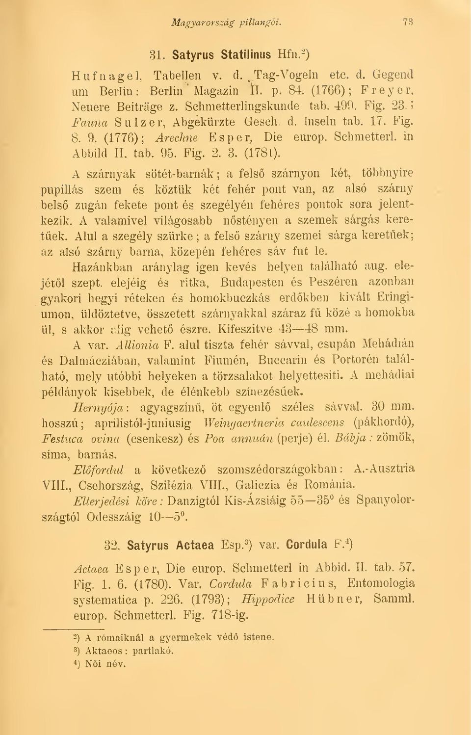 A szárnyak sötét-barnák; a fels szárnyon két, többnyire pupillás szem és köztük két fehér pont van, az alsó szárny bels zugán fekete pont és szegélyén fehéres pontok sora jelentkezik.