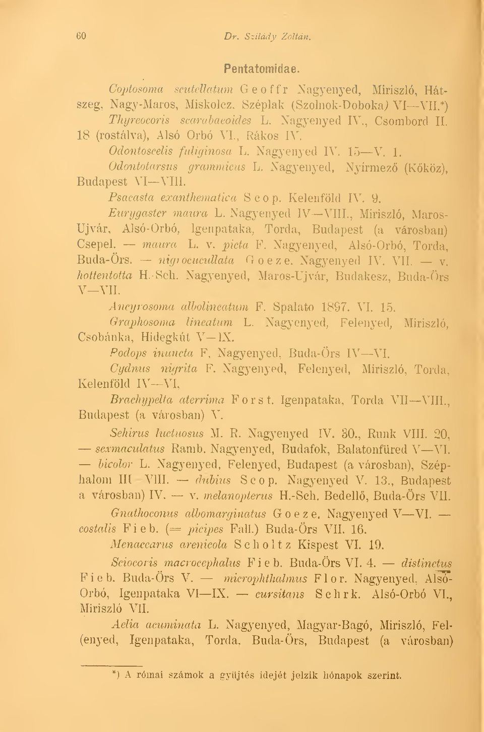 Psacasta exanthematica 8 c o p. Kelenföld IV. 9. Eurygaster maura L. Nagyenyed IV VIII., Miriszló, Maros- Ujvár, Alsó-Orbó, Igenpataka, Torda, Budapest (a városban) Csepel, maura L. v. j^ieta F.