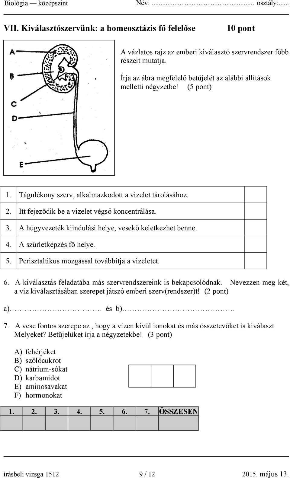 A húgyvezeték kiindulási helye, vesekő keletkezhet benne. 4. A szűrletképzés fő helye. 5. Perisztaltikus mozgással továbbítja a vizeletet. 6.