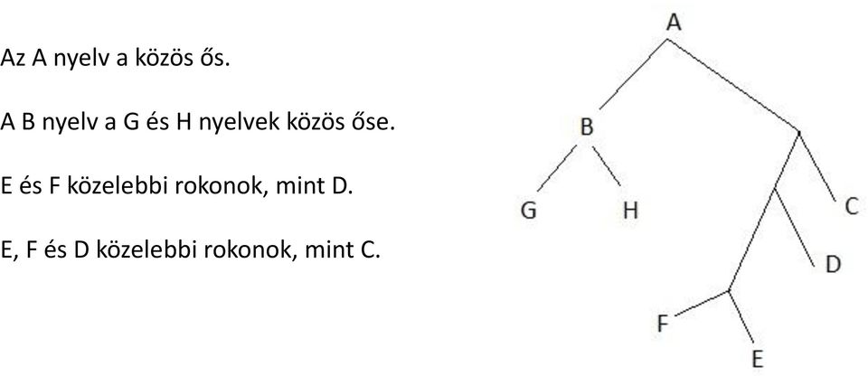 őse. E és F közelebbi rokonok,