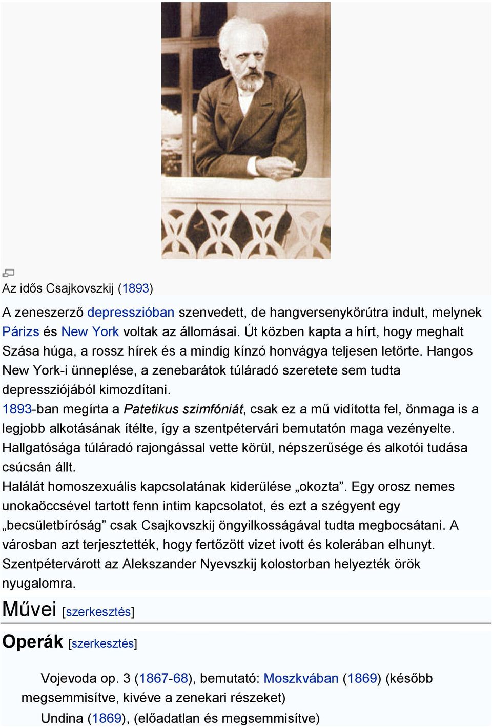 Hangos New York-i ünneplése, a zenebarátok túláradó szeretete sem tudta depressziójából kimozdítani.