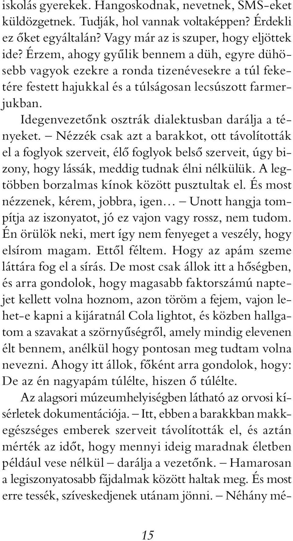 Idegenvezetőnk osztrák dialektusban darálja a tényeket.