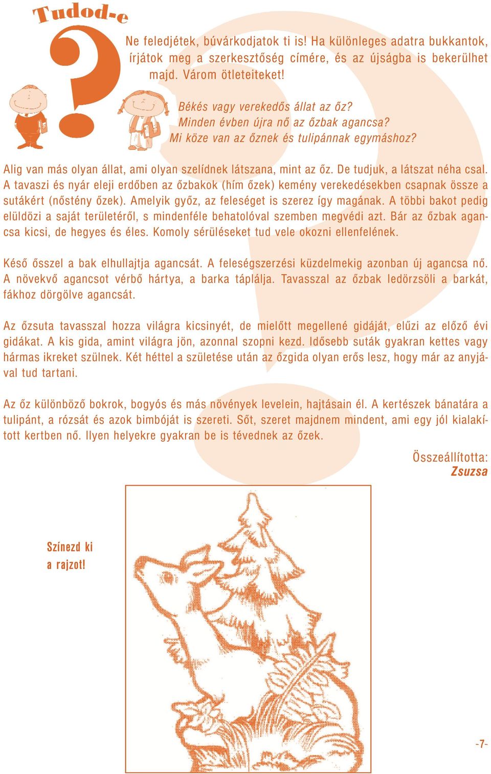 A tavaszi és nyár eleji erdőben az őzbakok (hím őzek) kemény verekedésekben csapnak össze a sutákért (nőstény őzek). Amelyik győz, az feleséget is szerez így magának.