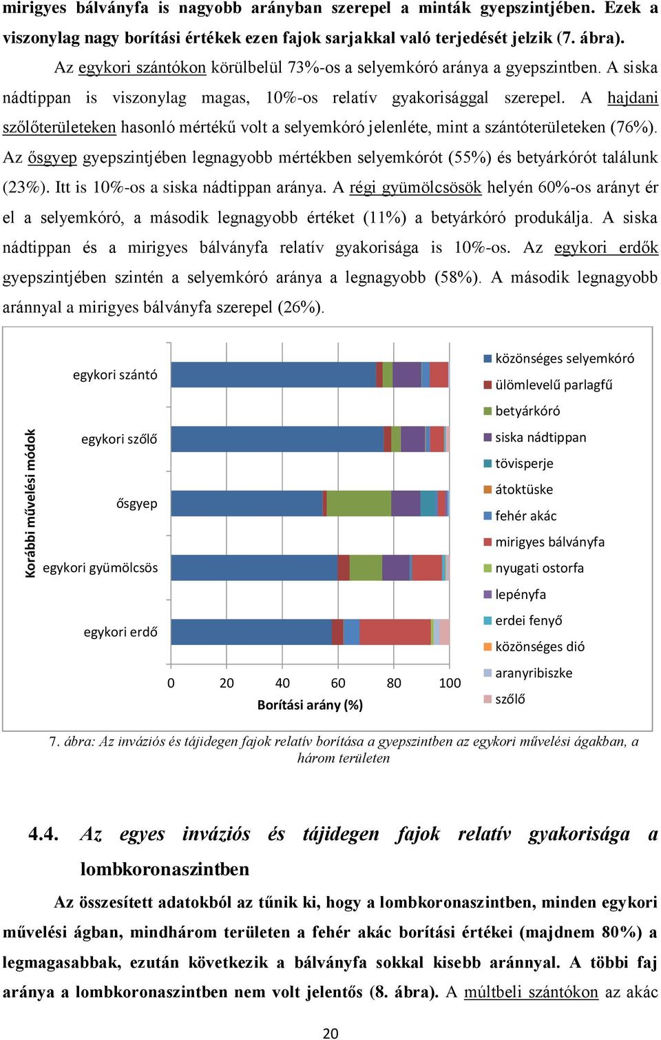 A hajdani szőlőterületeken hasonló mértékű volt a selyemkóró jelenléte, mint a szántóterületeken (76%). Az ősgyep gyepszintjében legnagyobb mértékben selyemkórót (55%) és betyárkórót találunk (23%).