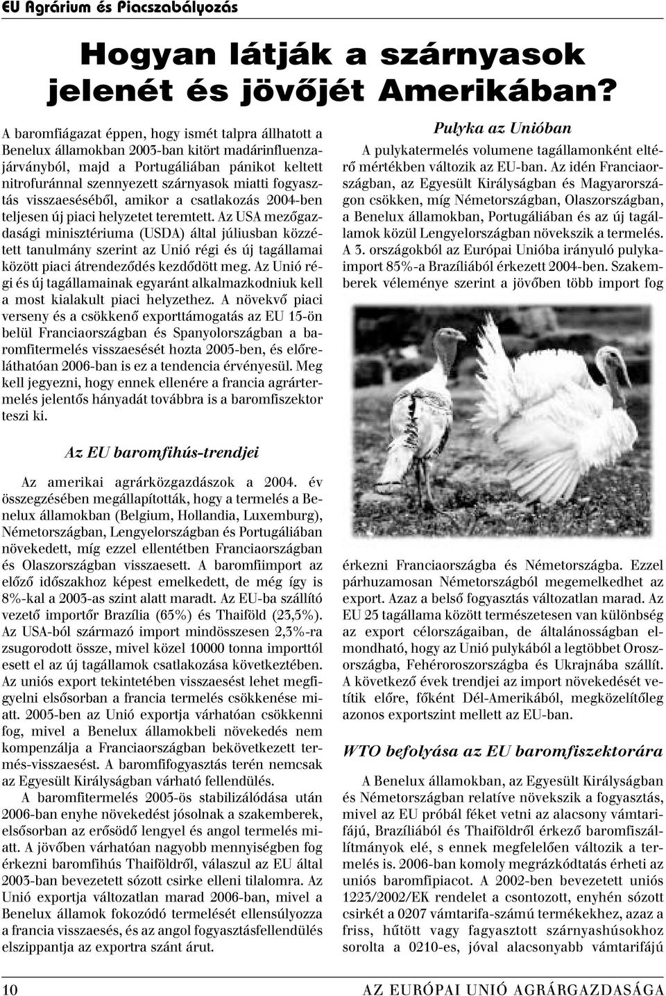 fogyasztás visszaesésébôl, amikor a csatlakozás 2004-ben teljesen új piaci helyzetet teremtett.