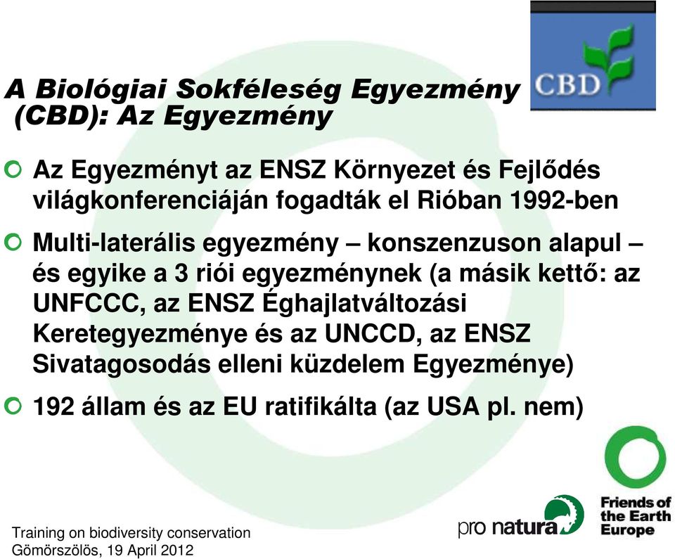 egyike a 3 riói egyezménynek (a másik kettı: az UNFCCC, az ENSZ Éghajlatváltozási Keretegyezménye és