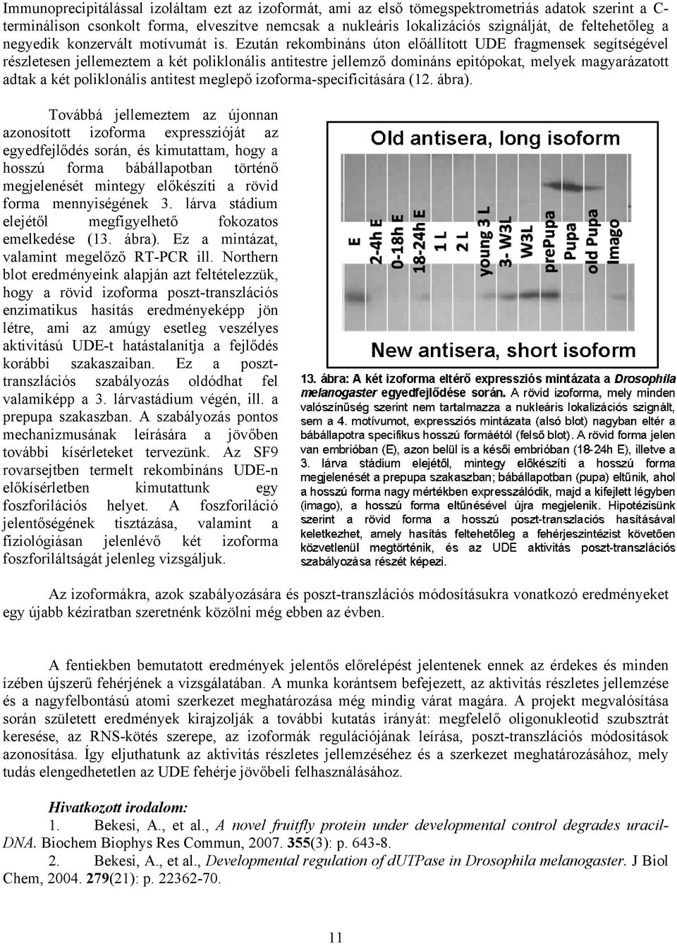 Ezután rekombináns úton előállított UDE fragmensek segítségével részletesen jellemeztem a két poliklonális antitestre jellemző domináns epitópokat, melyek magyarázatott adtak a két poliklonális