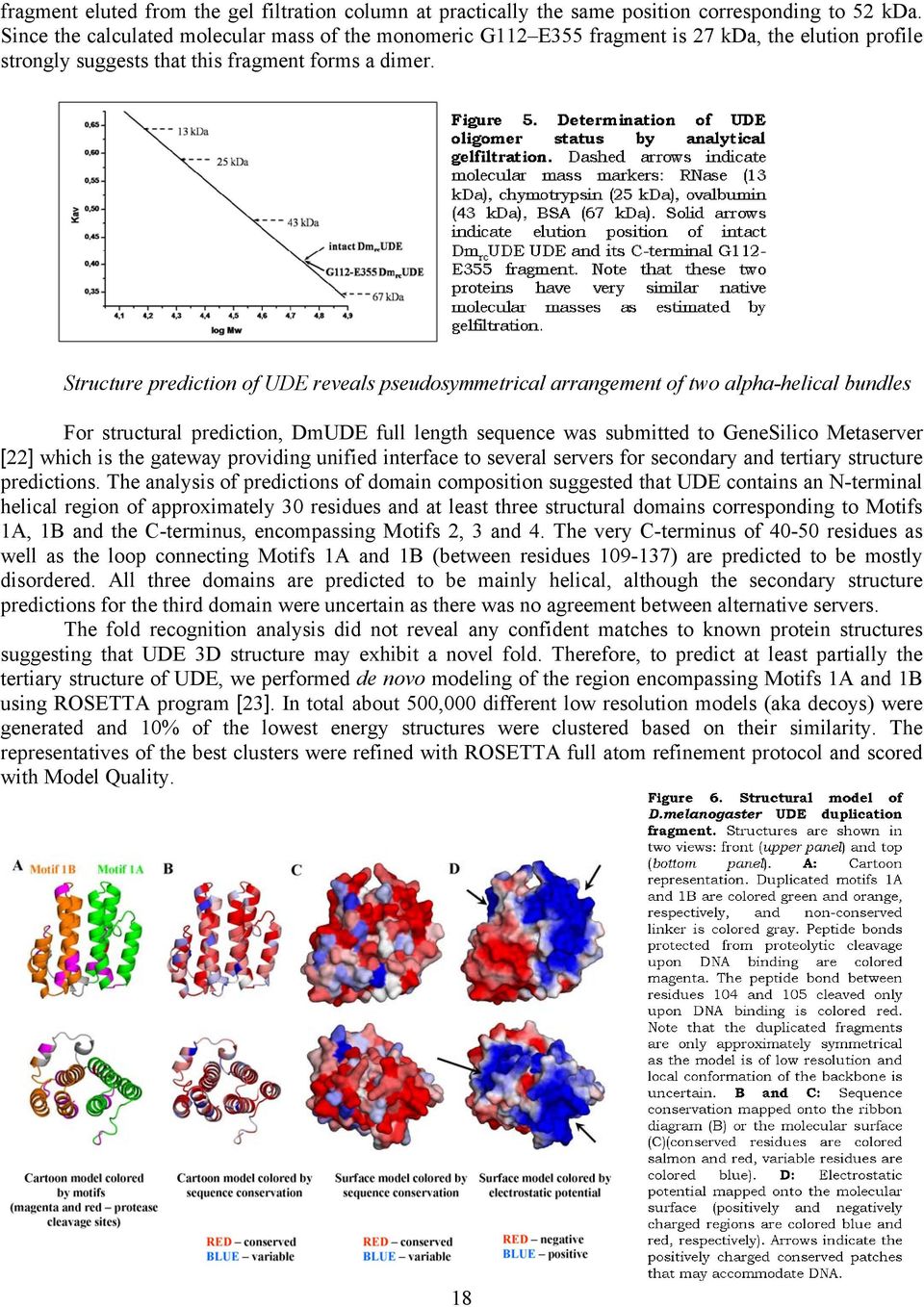 Structure prediction of UDE reveals pseudosymmetrical arrangement of two alpha-helical bundles For structural prediction, DmUDE full length sequence was submitted to GeneSilico Metaserver [22] which