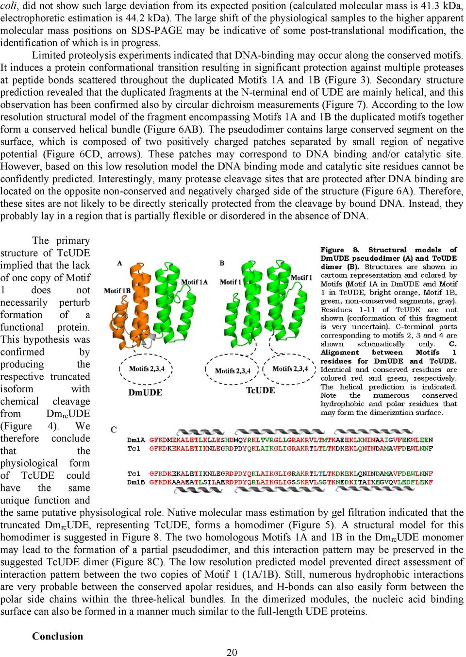 progress. Limited proteolysis experiments indicated that DNA-binding may occur along the conserved motifs.