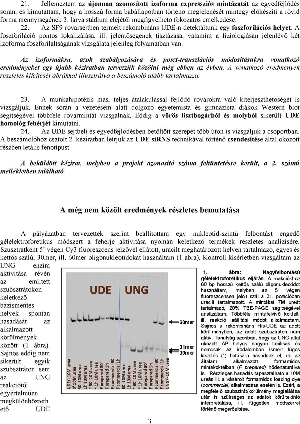 A foszforiláció pontos lokalizálása, ill. jelentőségének tisztázása, valamint a fiziológiásan jelenlévő két izoforma foszforiláltságának vizsgálata jelenleg folyamatban van.