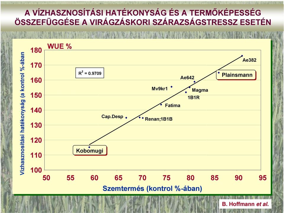 130 120 110 WUE % R 2 = 0.9709 Kobomugi Cap.