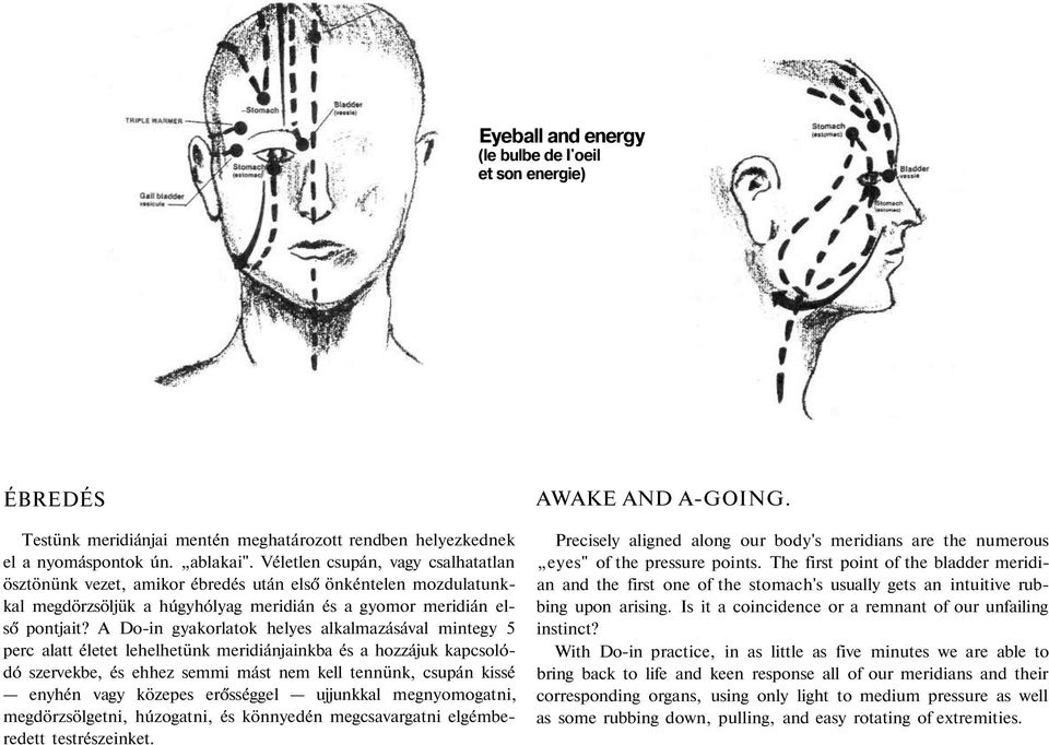 A Do-in gyakorlatok helyes alkalmazásával mintegy 5 perc alatt életet lehelhetünk meridiánjainkba és a hozzájuk kapcsolódó szervekbe, és ehhez semmi mást nem kell tennünk, csupán kissé enyhén vagy