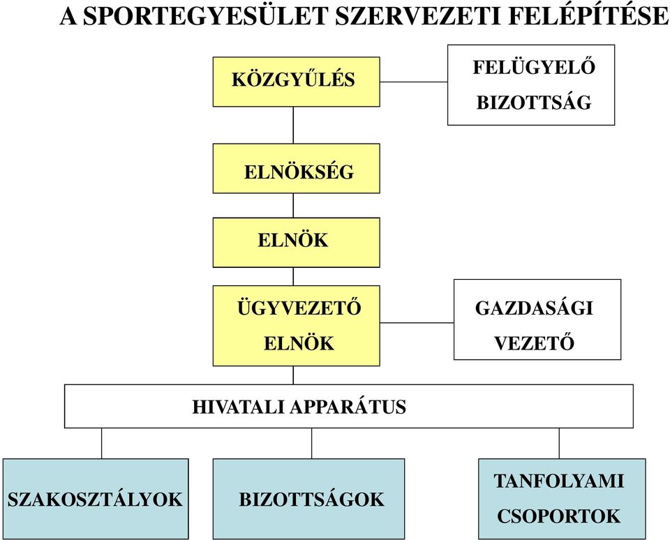 ÜGYVEZETŐ ELNÖK GAZDASÁGI VEZETŐ HIVATALI