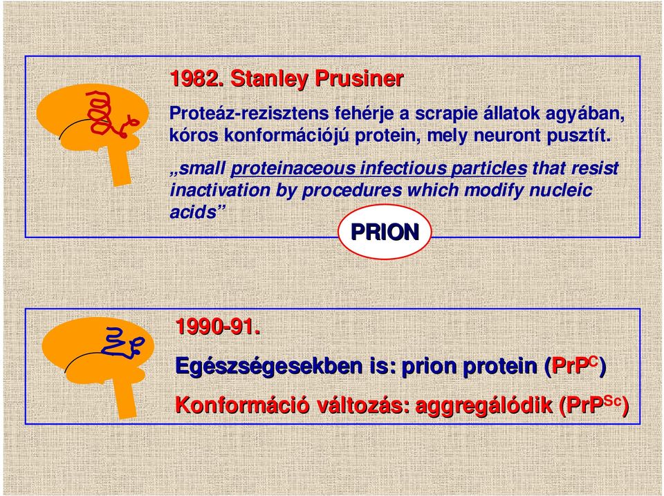 small proteinaceous infectious particles that resist inactivation by procedures which