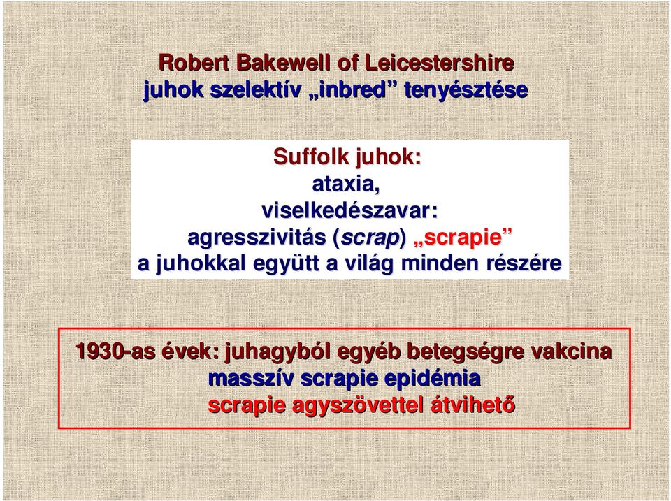 scrapie a juhokkal együtt a világ g minden részr szére 1930-as évek: juhagyból