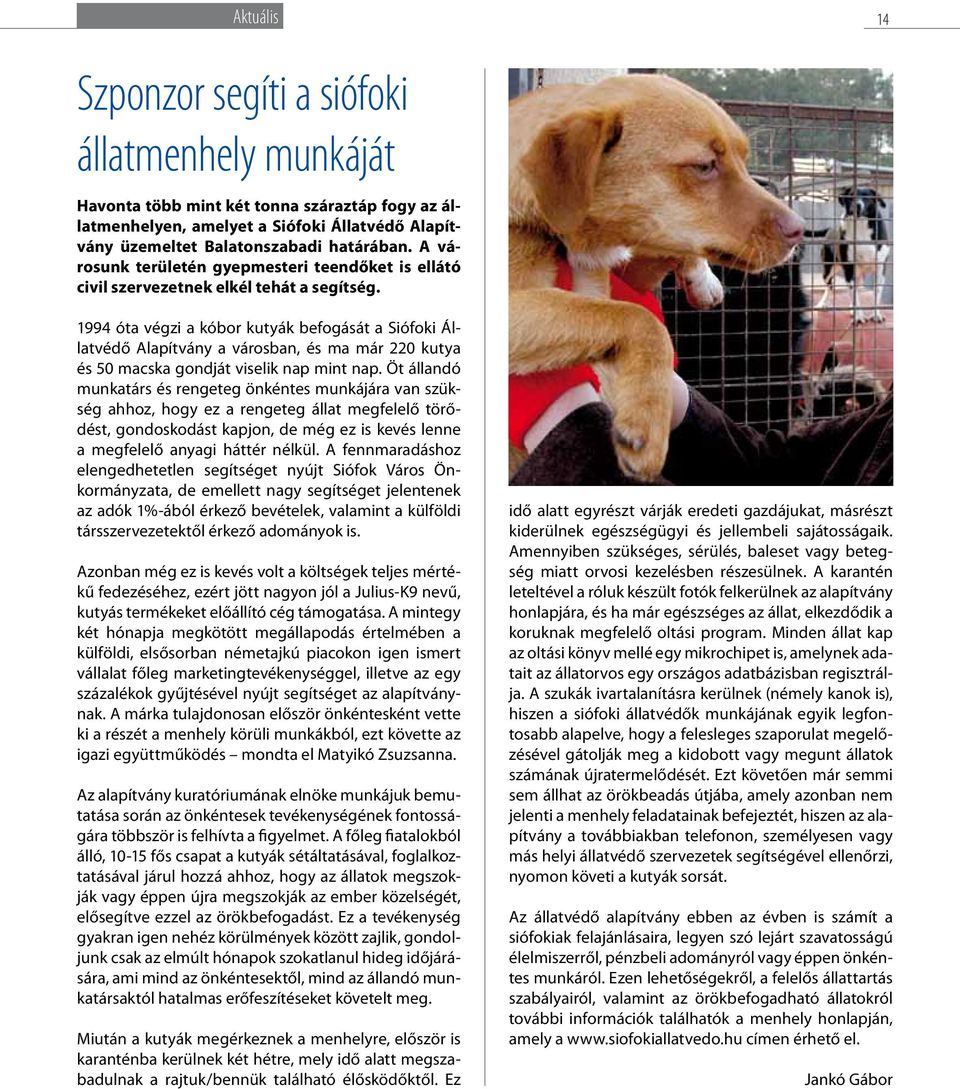 1994 óta végzi a kóbor kutyák befogását a Siófoki Állatvédő Alapítvány a városban, és ma már 220 kutya és 50 macska gondját viselik nap mint nap.