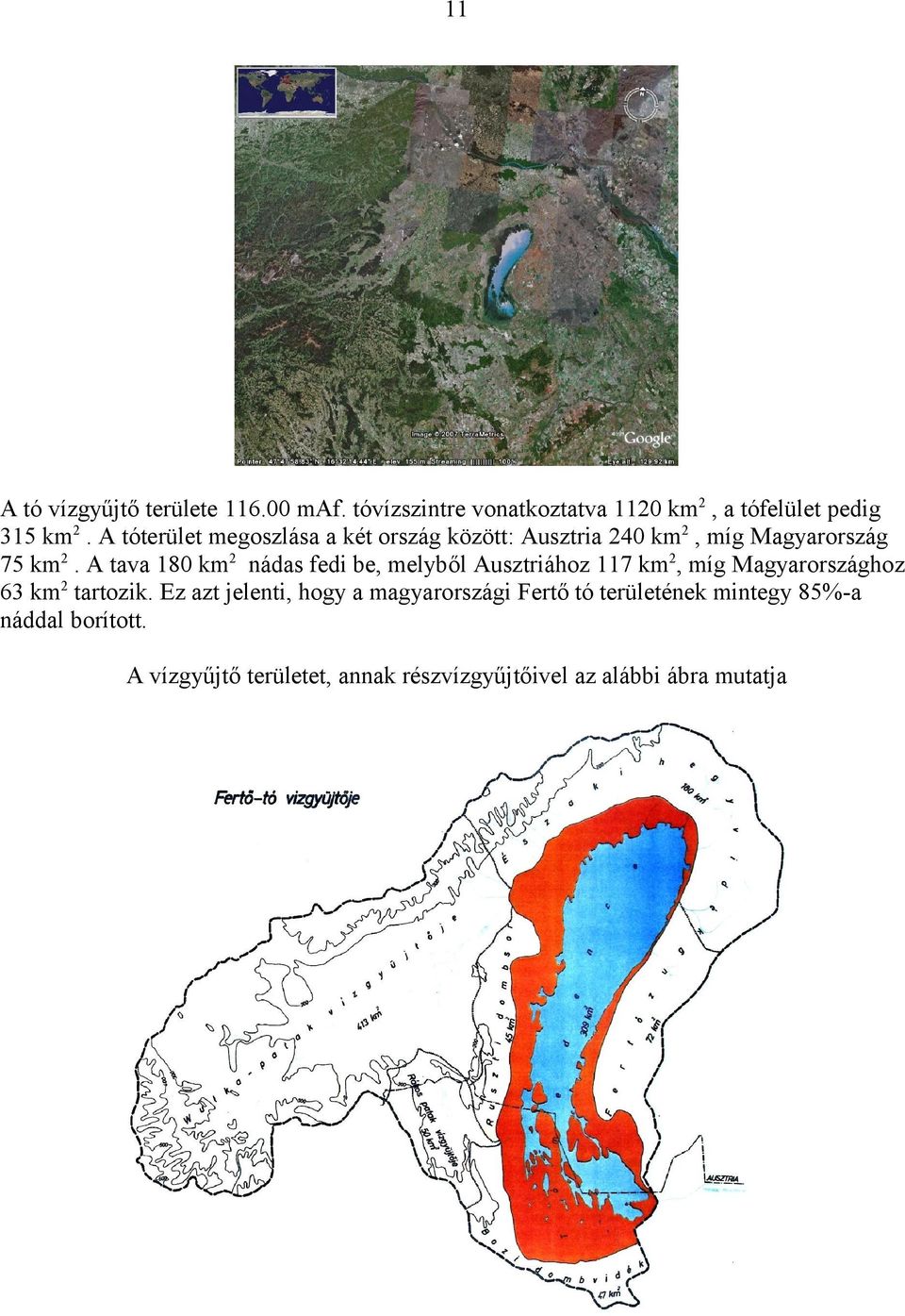 A tava 180 km2 nádas fedi be, melyből Ausztriához 117 km2, míg Magyarországhoz 63 km2 tartozik.