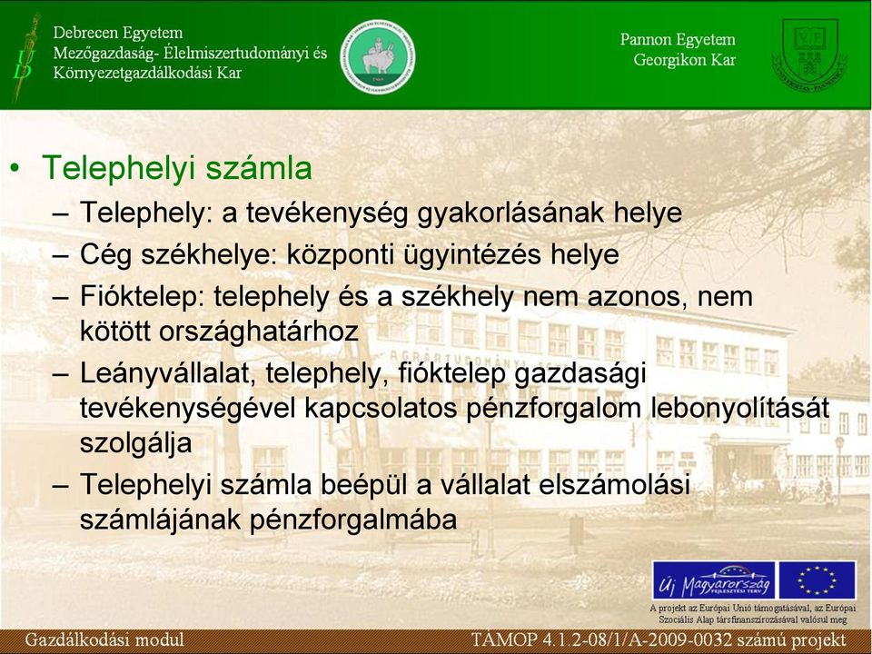 Leányvállalat, telephely, fióktelep gazdasági tevékenységével kapcsolatos pénzforgalom