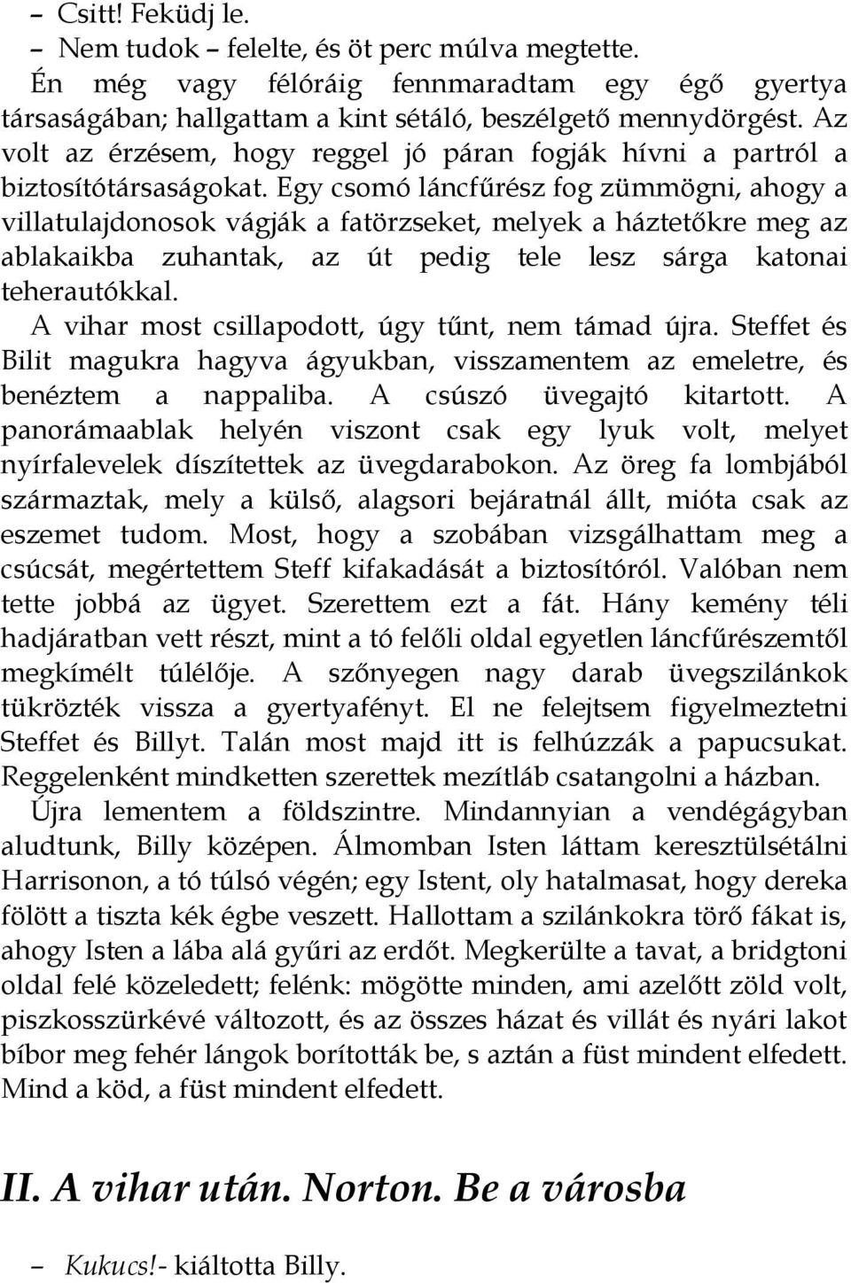 Egy csomó láncfűrész fog zümmögni, ahogy a villatulajdonosok vágják a fatörzseket, melyek a háztetőkre meg az ablakaikba zuhantak, az út pedig tele lesz sárga katonai teherautókkal.