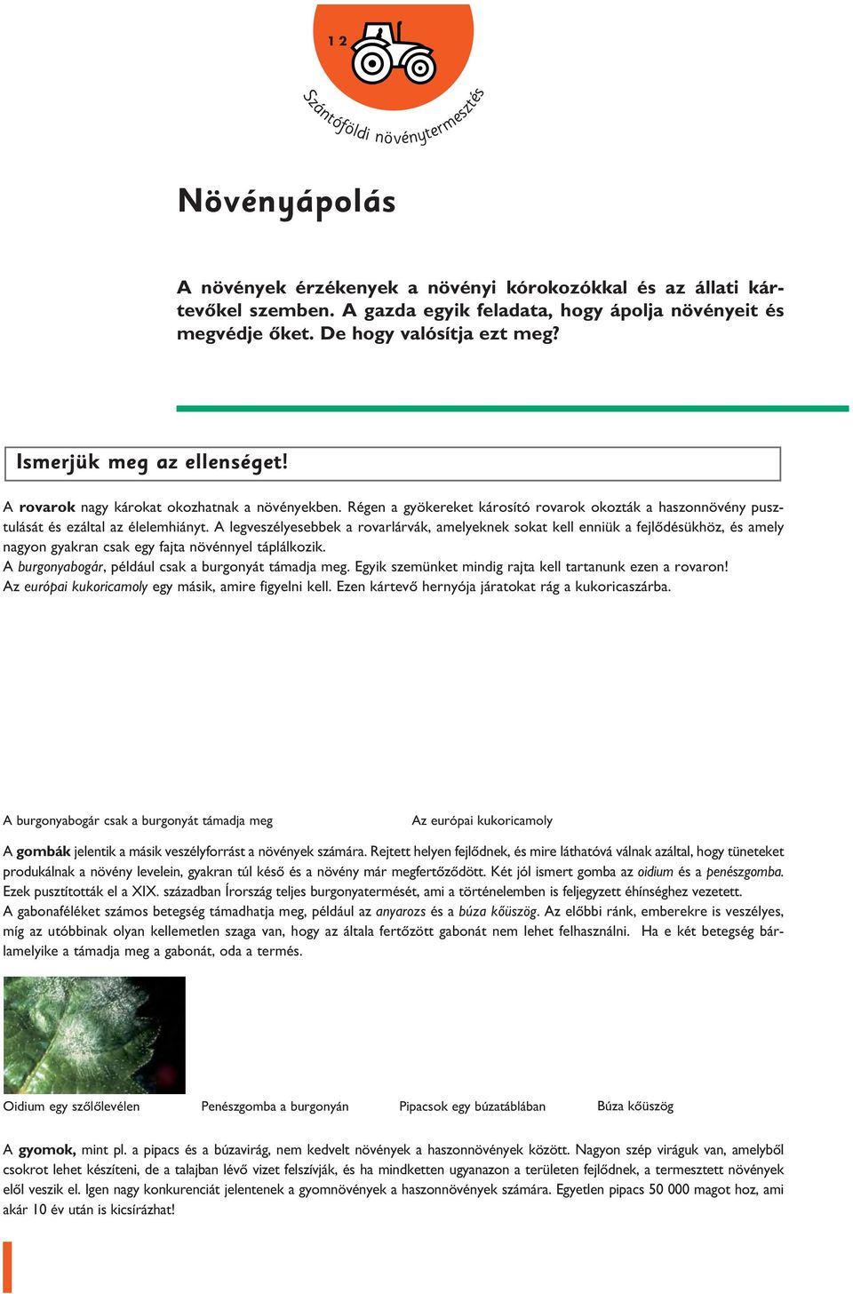 A legveszélyesebbek a rovarlárvák, amelyeknek sokat kell enniük a fejlôdésükhöz, és amely nagyon gyakran csak egy fajta növénnyel táplálkozik. A burgonyabogár, például csak a burgonyát támadja meg.