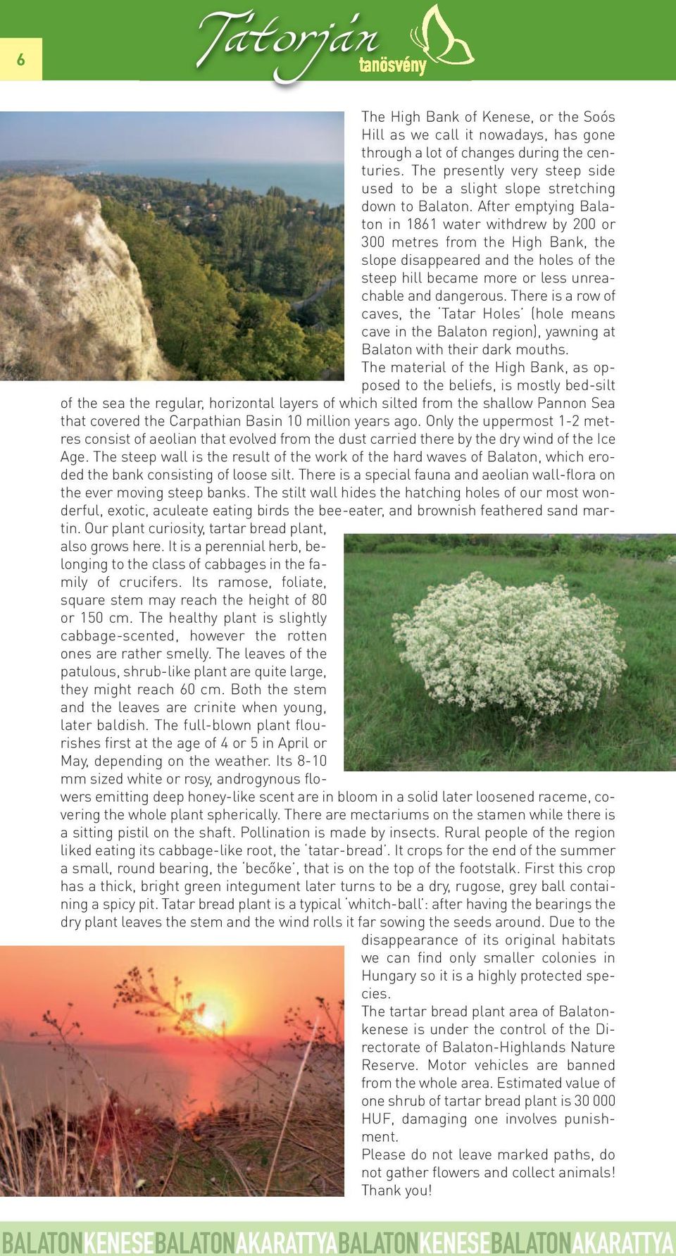 After emptying Balaton in 1861 water withdrew by 200 or 300 metres from the High Bank, the slope disappeared and the holes of the steep hill became more or less unreachable and dangerous.