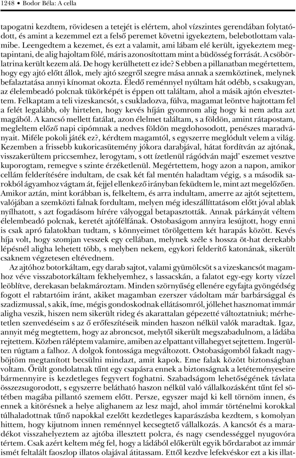 De hogy kerülhetett ez ide? S ebben a pillanatban megértettem, hogy egy ajtó elôtt állok, mely ajtó szegrôl szegre mása annak a szemköztinek, melynek befalaztatása annyi kínomat okozta.