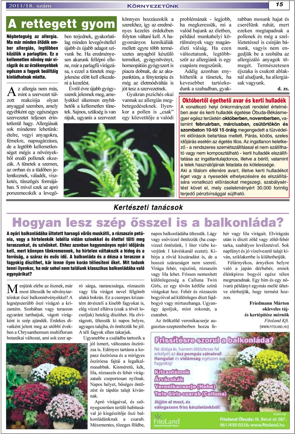 Az allergia nem más, mint a szervezet túlzott reakciója olyan anyaggal szemben, amely egyébként egy egészséges szervezetet teljesen érintetlenül hagy.