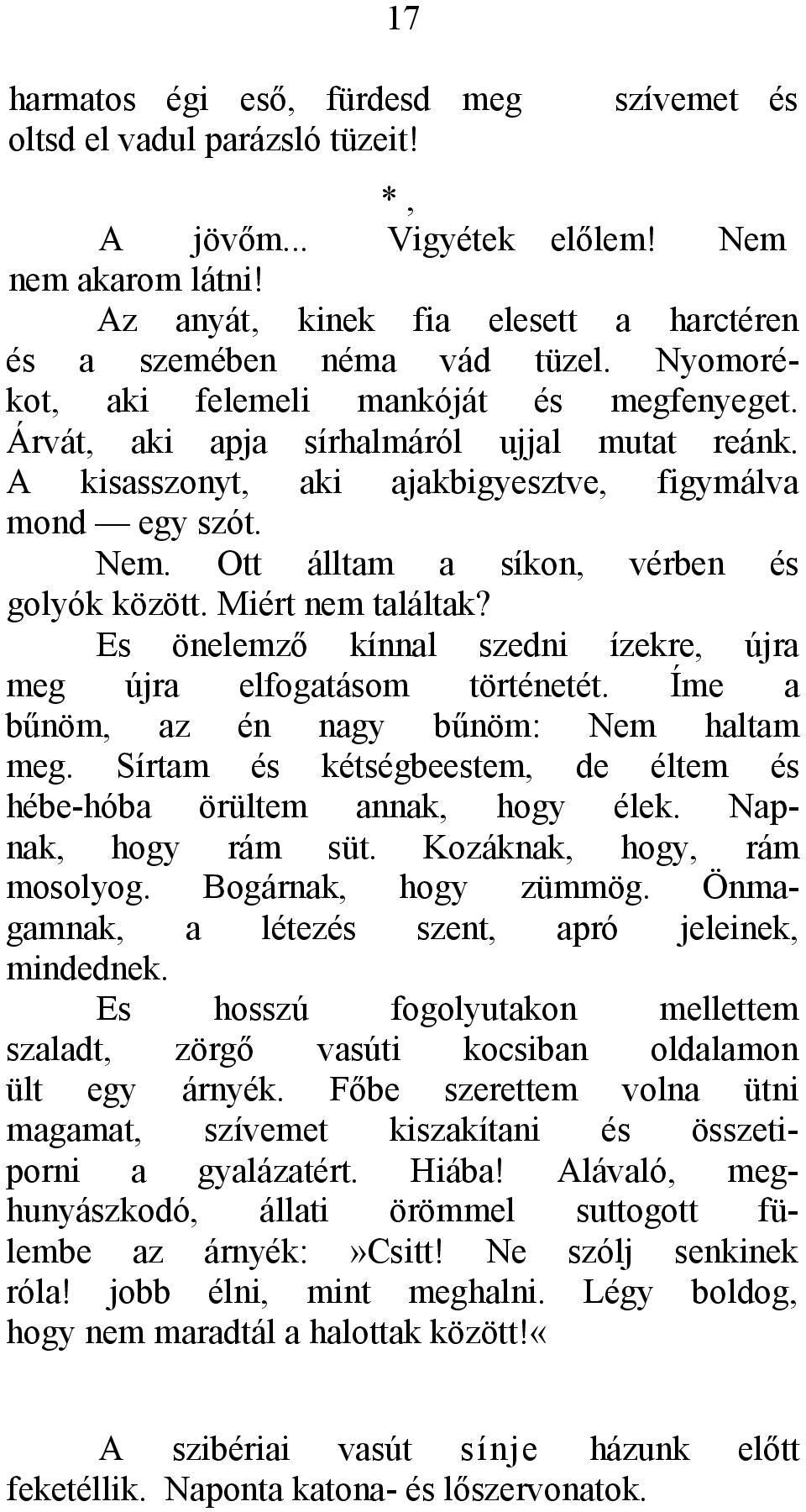 Ott álltam a síkon, vérben és golyók között. Miért nem találtak? Es önelemző kínnal szedni ízekre, újra meg újra elfogatásom történetét. Íme a bűnöm, az én nagy bűnöm: Nem haltam meg.