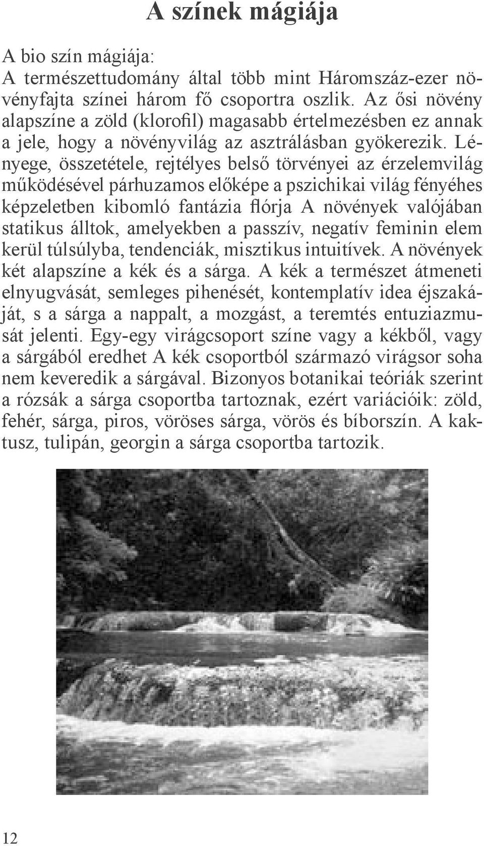 Lényege, összetétele, rejtélyes belső törvényei az érzelemvilág működésével párhuzamos előképe a pszichikai világ fényéhes képzeletben kibomló fantázia flórja A növények valójában statikus álltok,