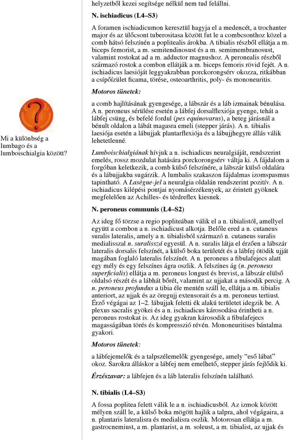 árokba. A tibialis részből ellátja a m. biceps femorist, a m. semitendinosust és a m. semimembranosust, valamint rostokat ad a m. adductor magnushoz.