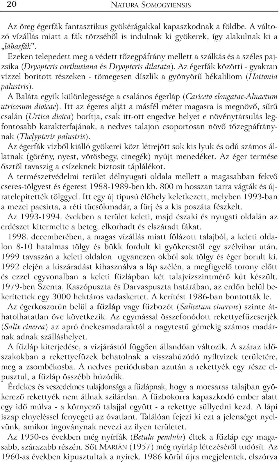 Az égerfák közötti - gyakran vízzel borított részeken - tömegesen díszlik a gyönyörû békaliliom (Hottonia palustris).