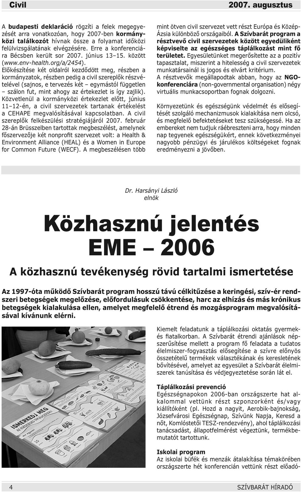 Előkészítése két oldalról kezdődött meg, részben a kormányzatok, részben pedig a civil szereplők részvételével (sajnos, e tervezés két egymástól független szálon fut, mint ahogy az értekezlet is így