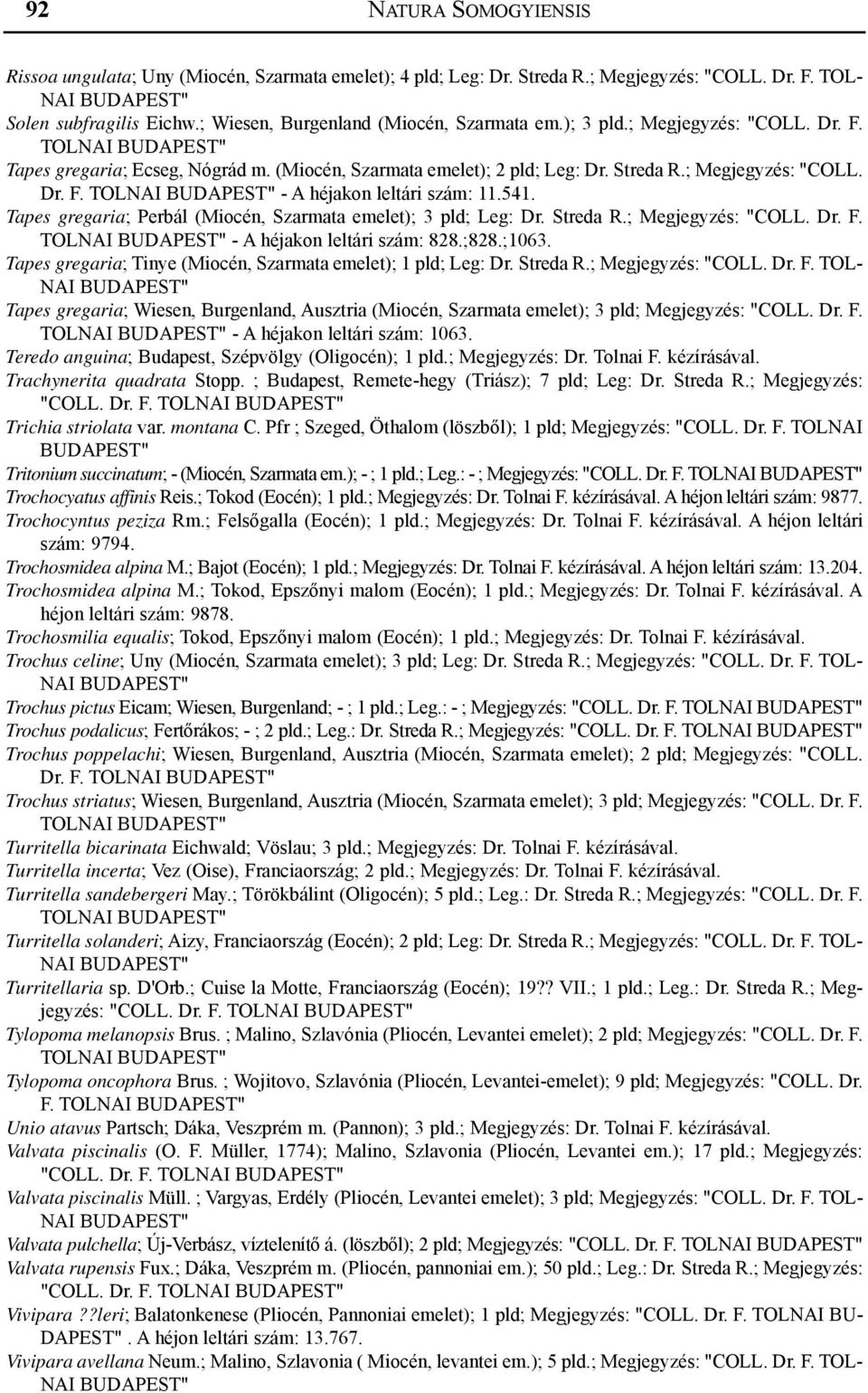 Tapes gregaria; Perbál (Miocén, Szarmata emelet); 3 pld; Leg: Dr. Streda R.; Megjegyzés: "COLL. Dr. F. - A héjakon leltári szám: 828.;828.;1063.