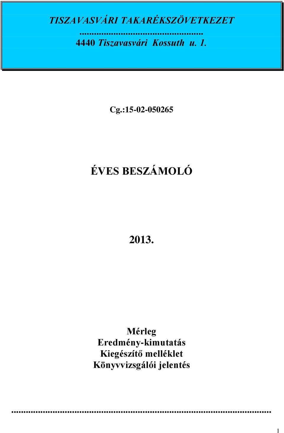 :15-02-050265 ÉVES BESZÁMOLÓ 2013.