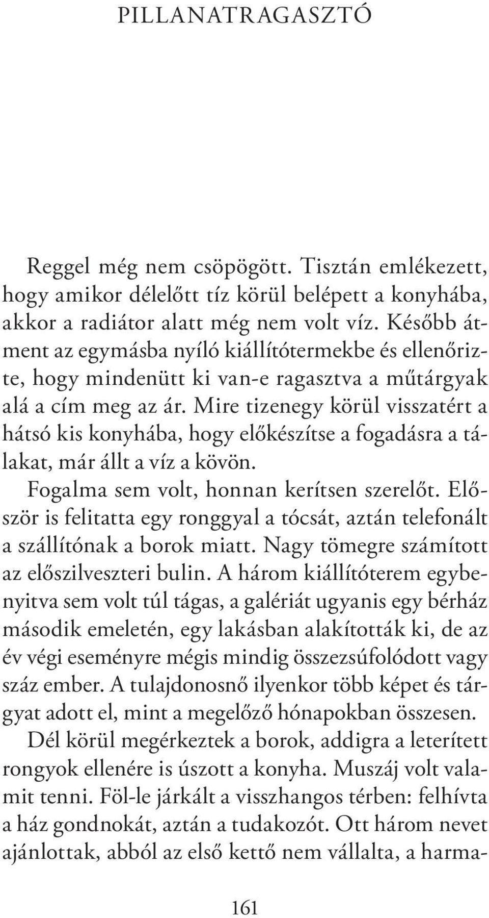 Mire tizenegy körül visszatért a hátsó kis konyhába, hogy előkészítse a fogadásra a tálakat, már állt a víz a kövön. Fogalma sem volt, honnan kerítsen szerelőt.