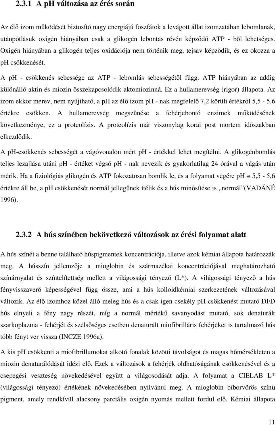 ATP hiányában az addig különálló aktin és miozin összekapcsolódik aktomiozinná. Ez a hullamerevség (rigor) állapota.