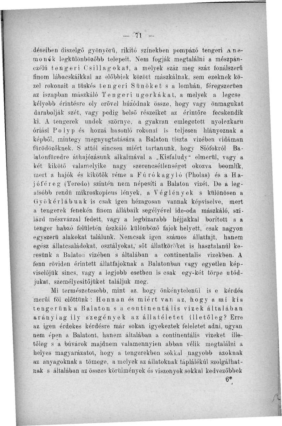 lomhán, féregszerüen az iszapban mászkáló Tengeri ugorkakat, a melyek a legese kélyebb érintésre oly erővej húz'ódnak össze, hogy vagy önmagukat darabolják szét, vagy pedig belső részeiket az