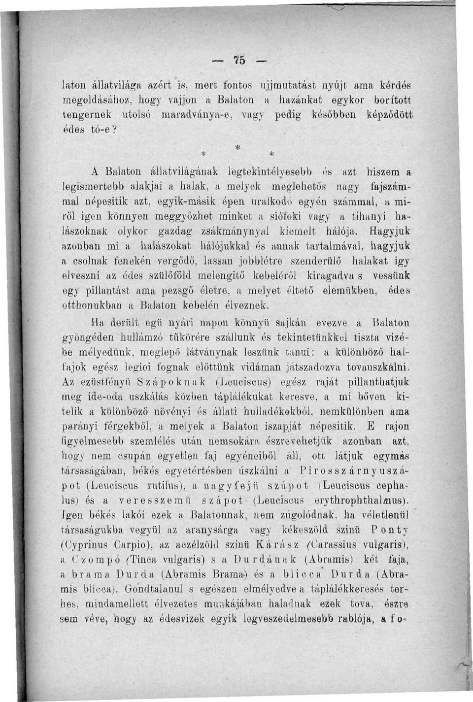 * * * A Balaton állatvilágának legtekintélyesebb és azt hiszem a legismertebb alakjai a halak, a melyek meglehetős nagy fajszámmal népesítik azt, egyik-másik épen uralkodó egyén számmal, a miről igen