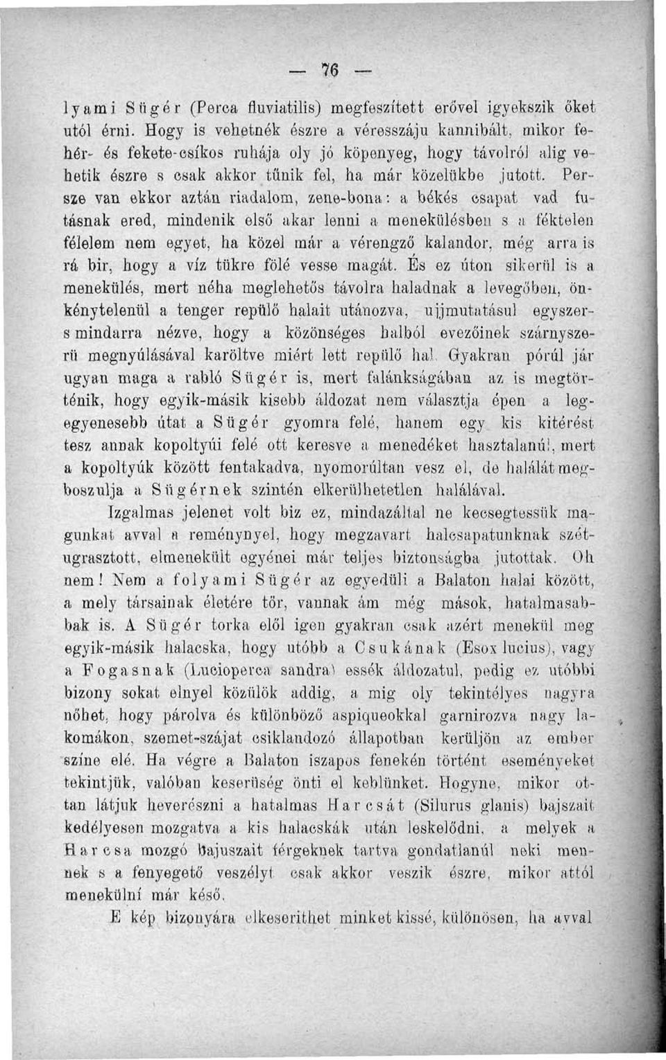 Persze van ekkor aztán riadalom, zene-bona: a békés csapat vad futásnak ered, mindenik első akar lenni a menekülésben s a féktelen félelem nem egyet, ha közel már a vérengző kalandor, még arra is rá