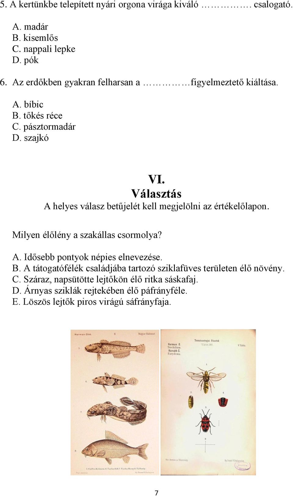 Választás A helyes válasz betűjelét kell megjelölni az értékelőlapon. Milyen élőlény a szakállas csormolya? A. Idősebb pontyok népies elnevezése.