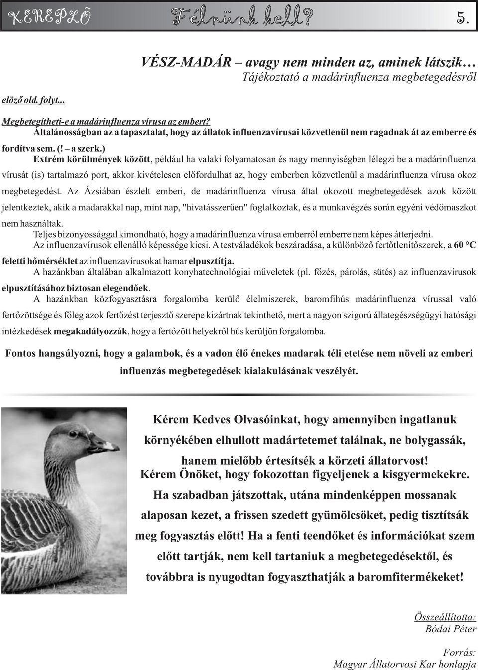 ) Extrém körülmények között, például ha valaki folyamatosan és nagy mennyiségben lélegzi be a madárinfluenza vírusát (is) tartalmazó port, akkor kivételesen elõfordulhat az, hogy emberben közvetlenül