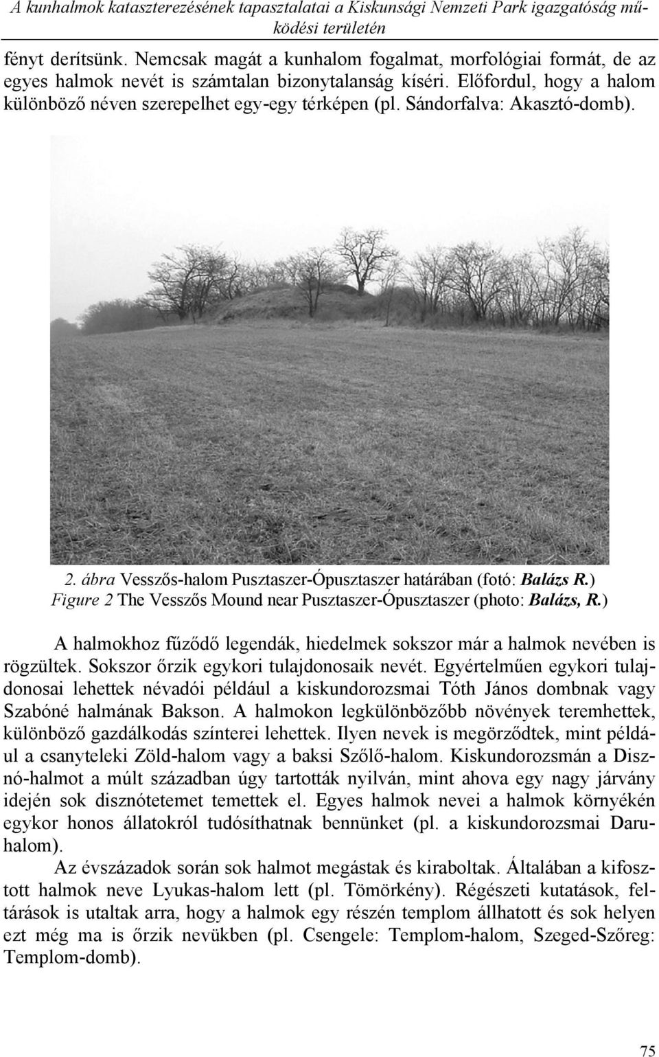 Sándorfalva: Akasztó-domb). 2. ábra Vesszős-halom Pusztaszer-Ópusztaszer határában (fotó: Balázs R.) Figure 2 The Vesszős Mound near Pusztaszer-Ópusztaszer (photo: Balázs, R.