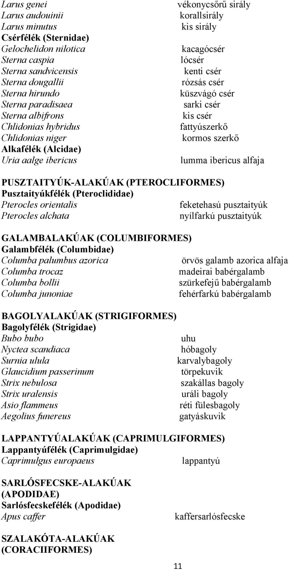 kormos szerkő lumma ibericus alfaja PUSZTAITYÚK-ALAKÚAK (PTEROCLIFORMES) Pusztaityúkfélék (Pteroclididae) Pterocles orientalis feketehasú pusztaityúk Pterocles alchata nyílfarkú pusztaityúk