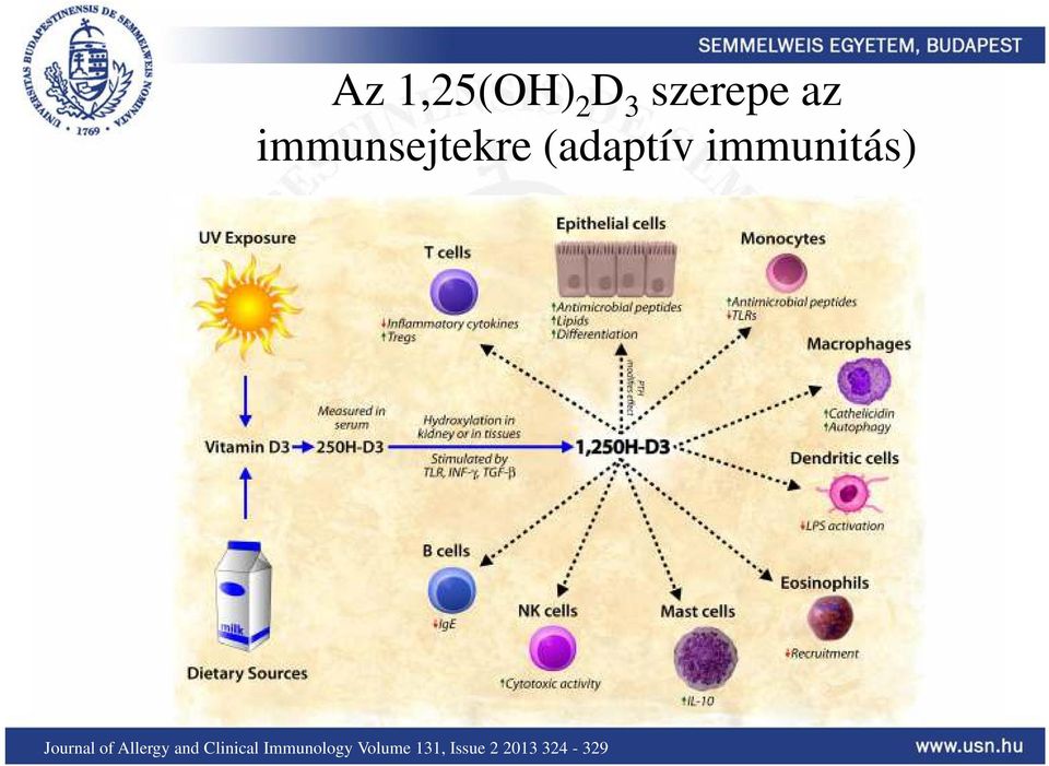 Journal of Allergy and Clinical