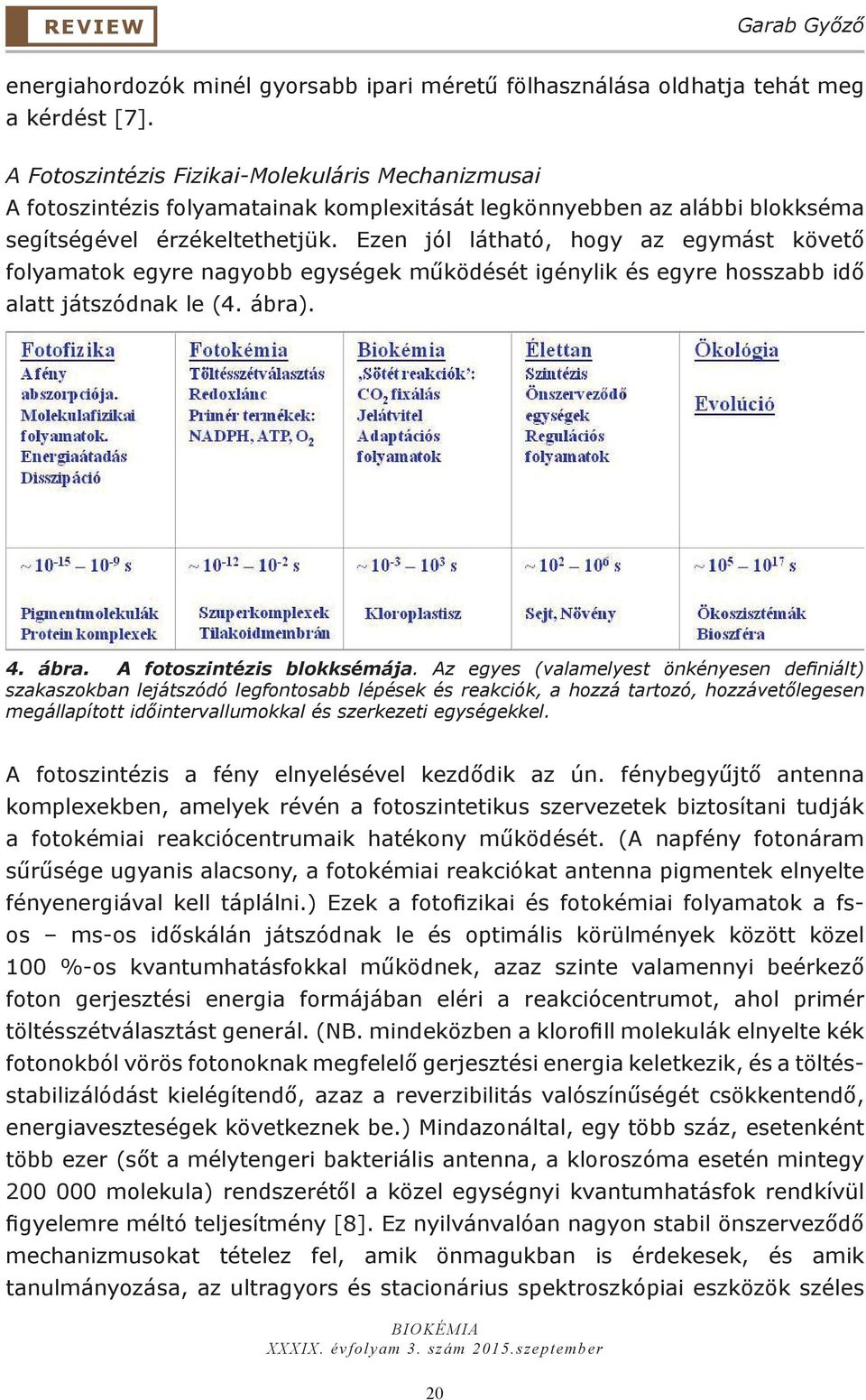 Ezen jól látható, hogy az egymást követő folyamatok egyre nagyobb egységek működését igénylik és egyre hosszabb idő alatt játszódnak le (4. ábra). 4. ábra. A fotoszintézis blokksémája.