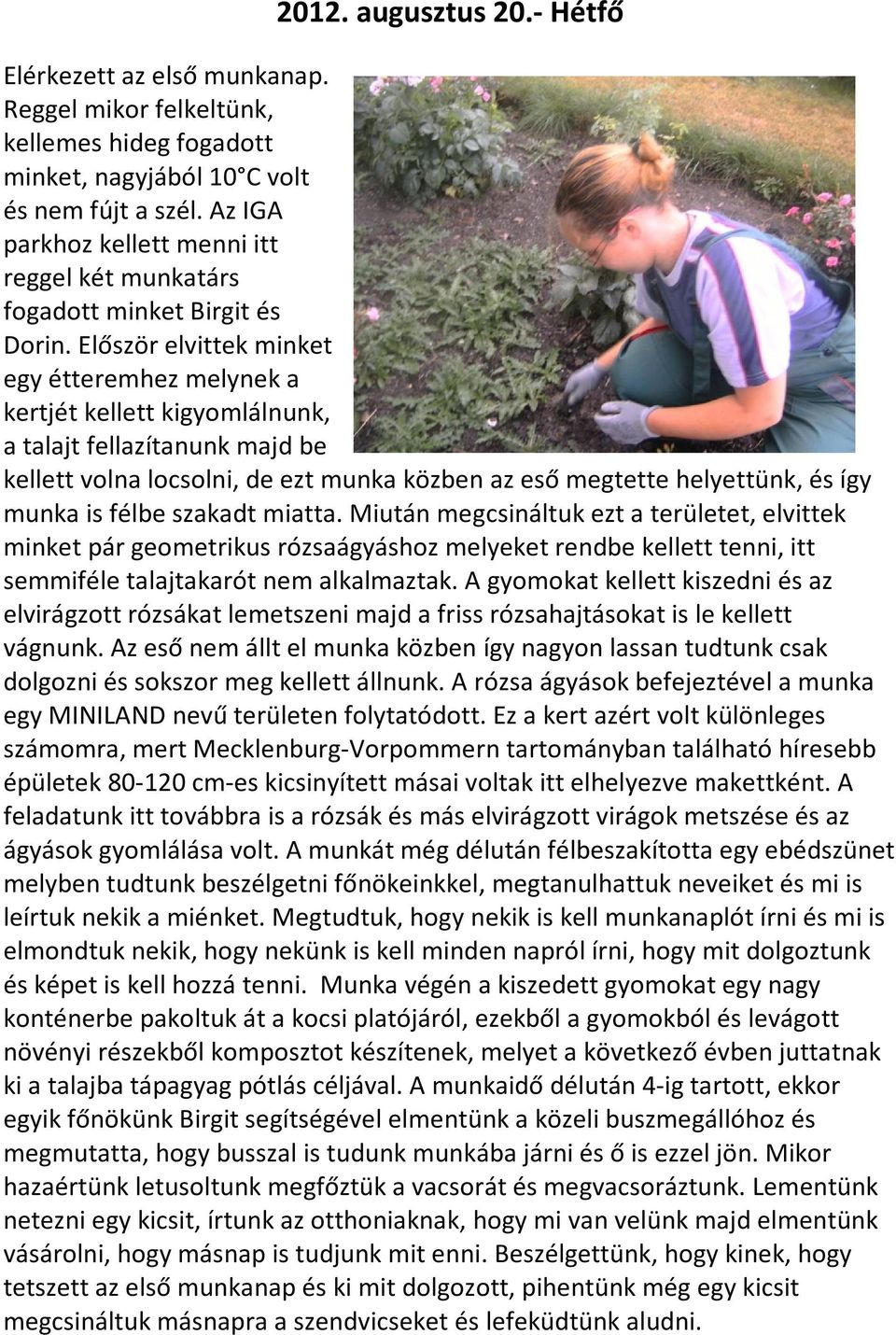 Először elvittek minket egy étteremhez melynek a kertjét kellett kigyomlálnunk, a talajt fellazítanunk majd be kellett volna locsolni, de ezt munka közben az eső megtette helyettünk, és így munka is