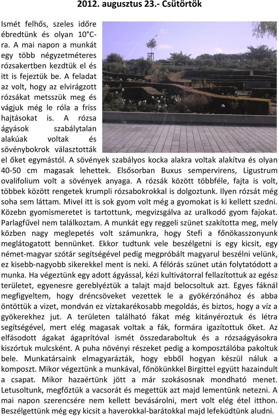 A sövények szabályos kocka alakra voltak alakítva és olyan 40-50 cm magasak lehettek. Elsősorban Buxus sempervirens, Ligustrum ovalifolium volt a sövények anyaga.