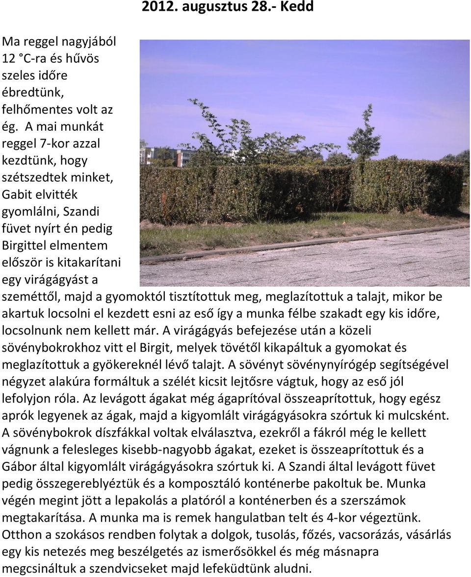 gyomoktól tisztítottuk meg, meglazítottuk a talajt, mikor be akartuk locsolni el kezdett esni az eső így a munka félbe szakadt egy kis időre, locsolnunk nem kellett már.