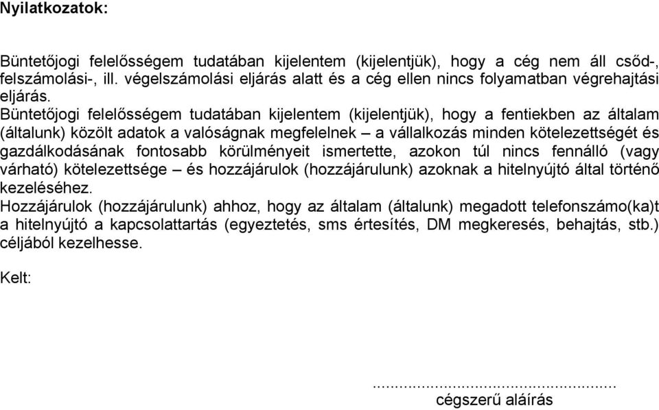 Büntetőjogi felelősségem tudatában kijelentem (kijelentjük), hogy a fentiekben az általam (általunk) közölt adatok a valóságnak megfelelnek a vállalkozás minden kötelezettségét és gazdálkodásának